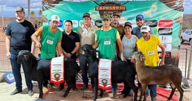 VI ExpoSãoJu é realizada com sucesso e movimenta São Julião e região